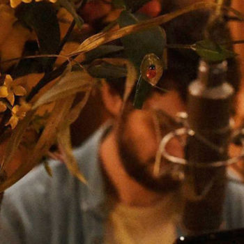 Pharaon de Winter, L'habitacle