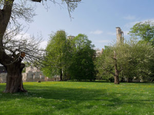 L'abbaye de Jumièges : la beauté d'une architecture mutilée 12 L'abbaye de Jumièges