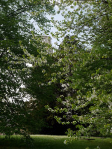 L'abbaye de Jumièges : la beauté d'une architecture mutilée 17 L'abbaye de Jumièges