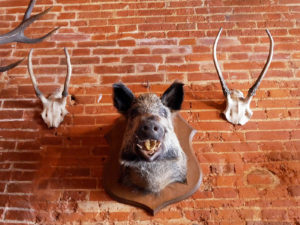 Château de Villebon