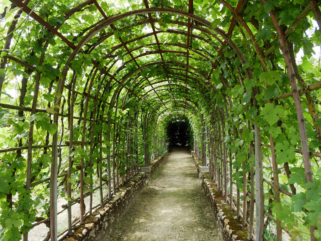 Le jardin de Bois Richeux