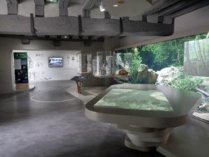 De Paris au Mont-Saint-Michel à vélo sur la Véloscénie 8 Le Petit Moulin