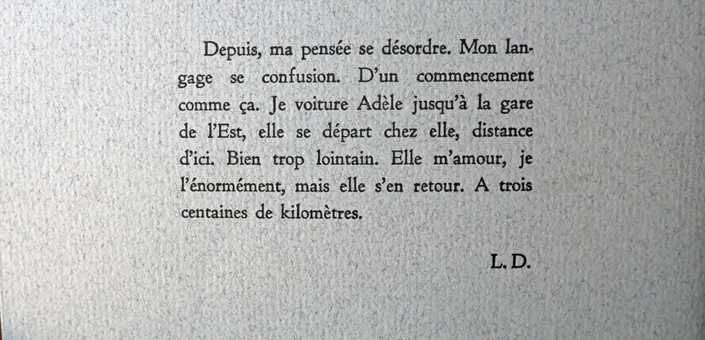 Loïc Demey - Je, d'un accident ou d'amour