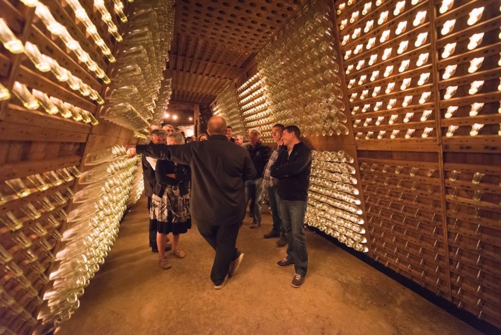 Festivini : quand le patrimoine trinque avec la gastronomie 26