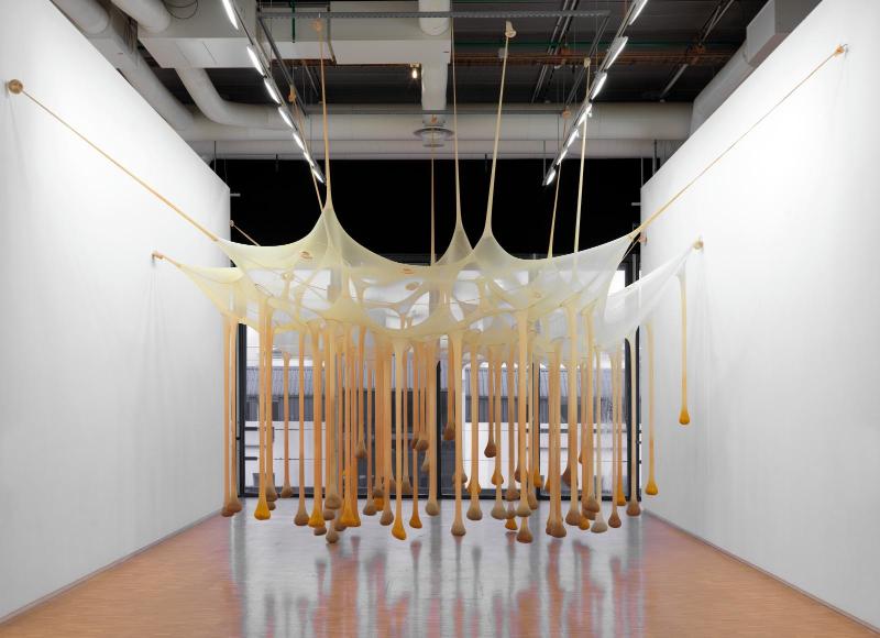 Ernesto Neto, We stopped just here at the time
