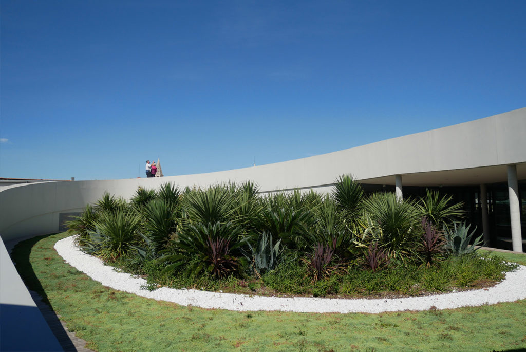Le musée de la Romanité de Nîmes