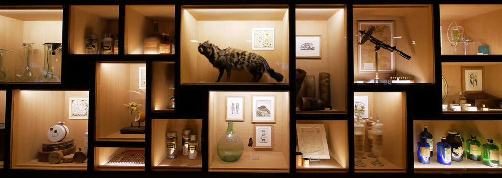 Le musée du Parfum Fragonard : un voyage olfactif en plein Paris 1