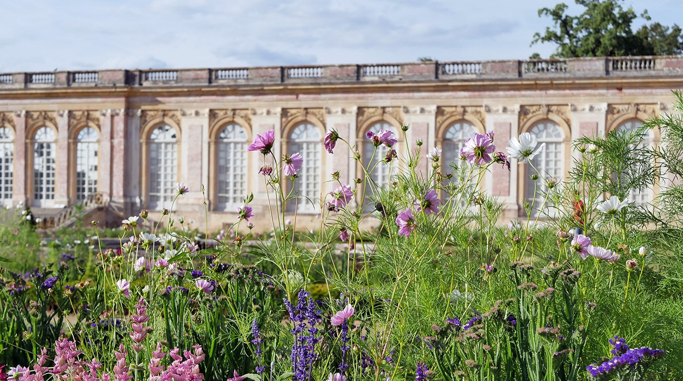 The Perfumer's Garden, an olfactory visit in Versailles 8