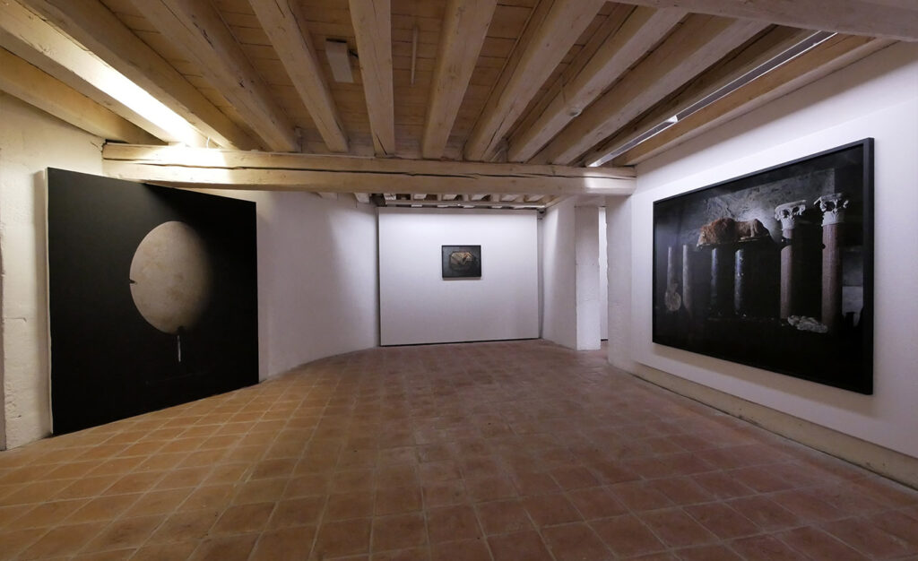 Yann Mignard, exposition Tant de choses planent dans l’air, d’où notre vertige, musée de l'Elysée