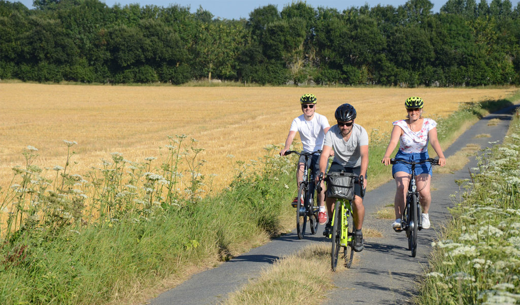 Hugo Guillochin, Petite Reine Normandie