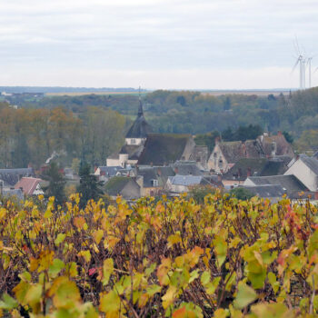 Balade dans la Champagne Berrichonne 1