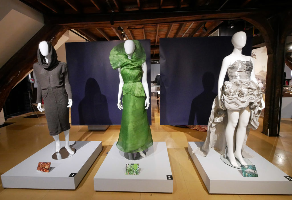 A Rouen, les musées placent les collections au cœur de leur programmation 4