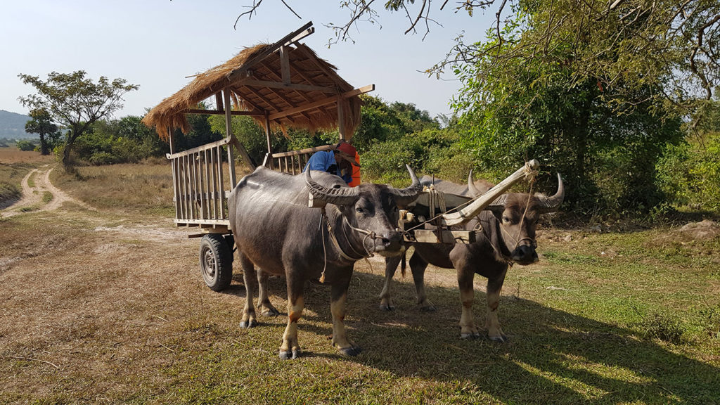 Partir au Cambodge : 5 visites incontournables et conseils pour obtenir son visa 4