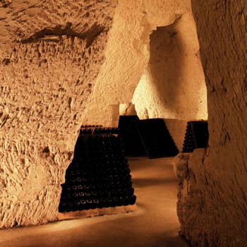 Les caves de Taittinger