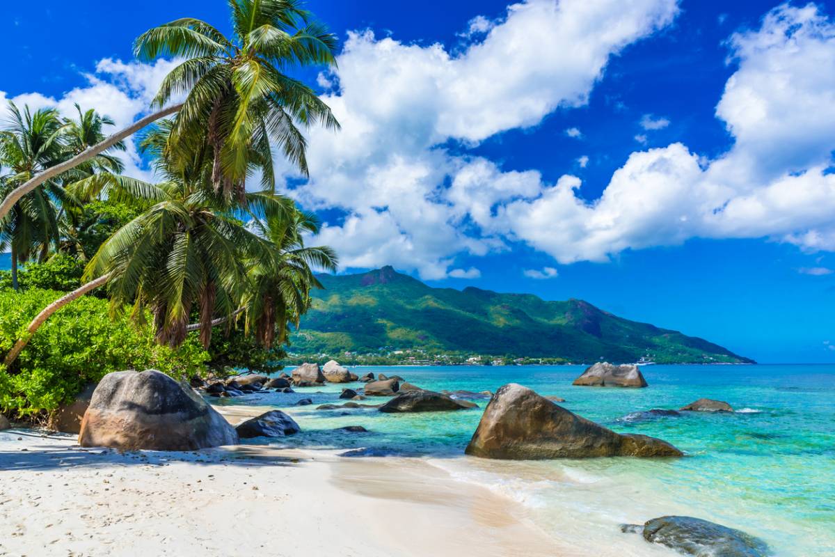 Seychelles : les solutions pour être à proximité de la nature 2
