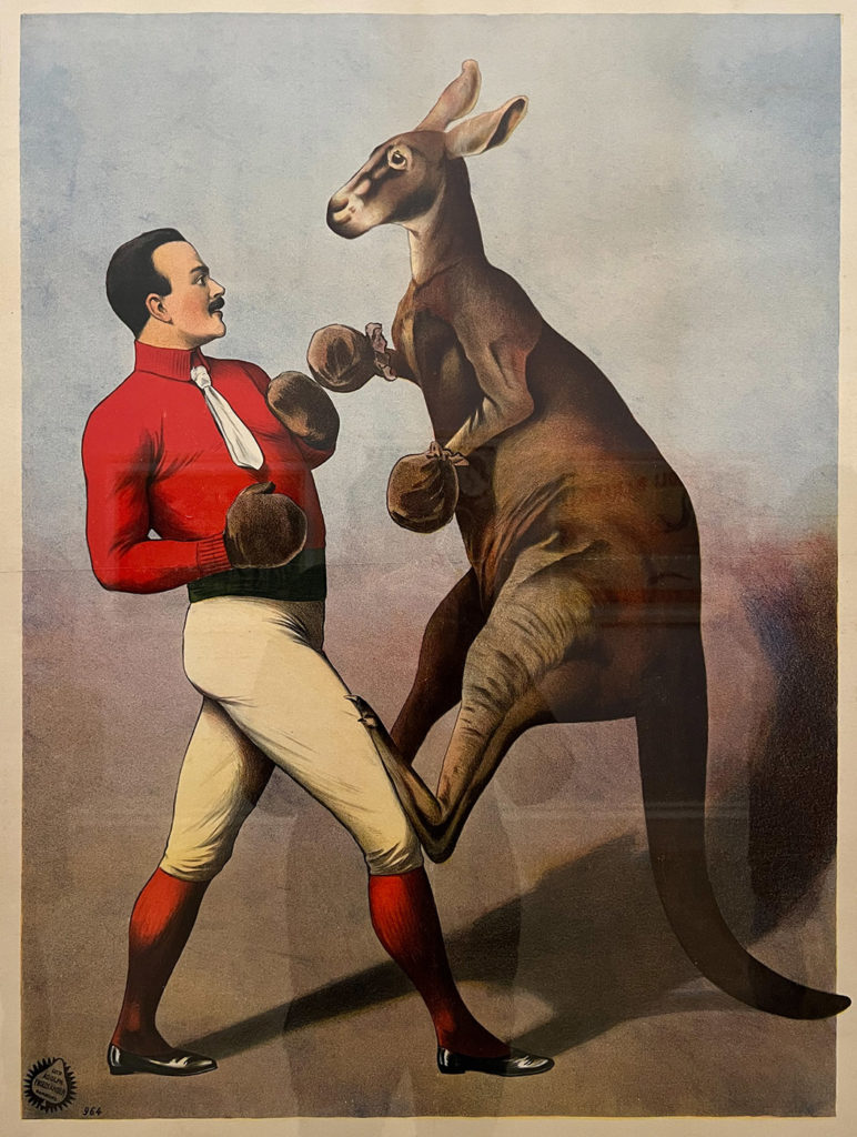 The circus in the spotlight in Rouen's museums: a tour of the exhibitions to discover 9