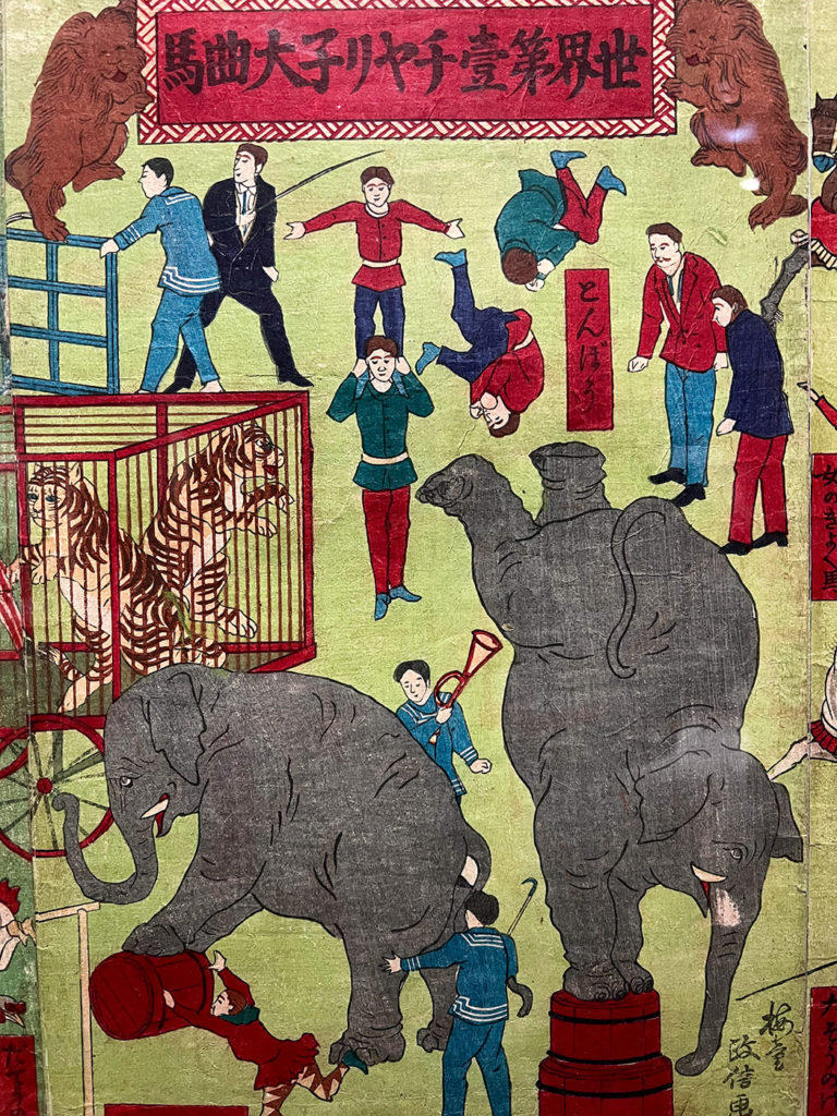 The circus in the spotlight in Rouen's museums: a tour of the exhibitions to discover 11