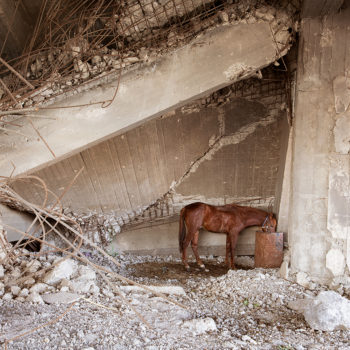 Le photographe Mathieu Pernot expose à la Fondation Henri Cartier-Bresson 3