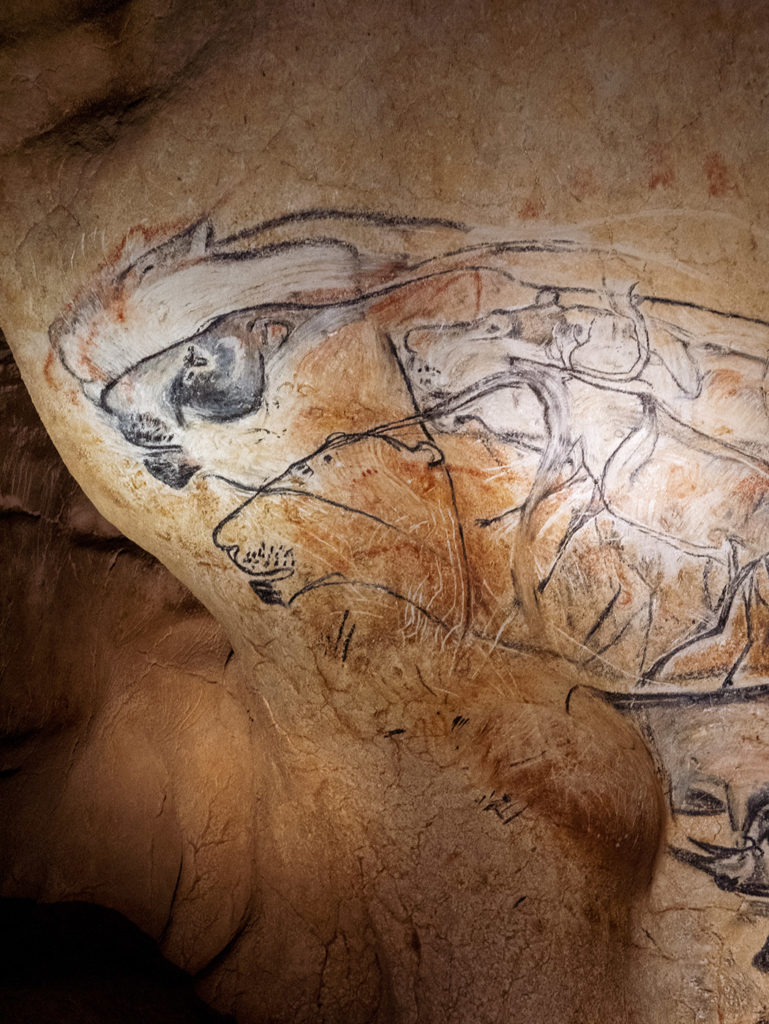 La grotte Chauvet, un trésor venu du fond des siècles 6