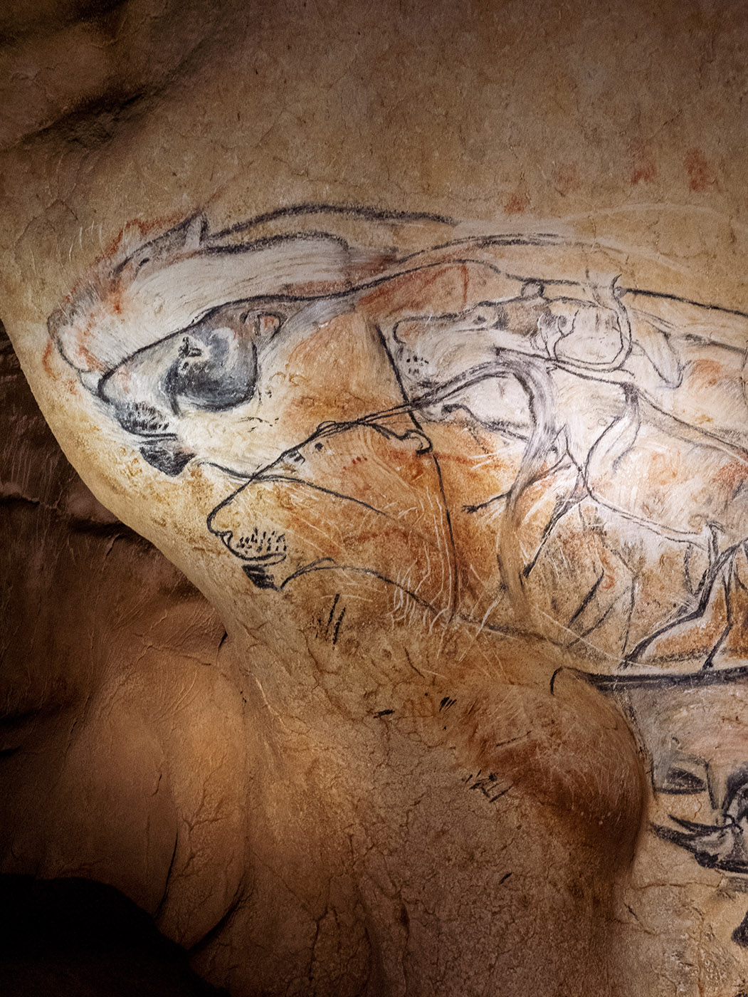 The Chauvet cave, a treasure from the depths of the centuries 9