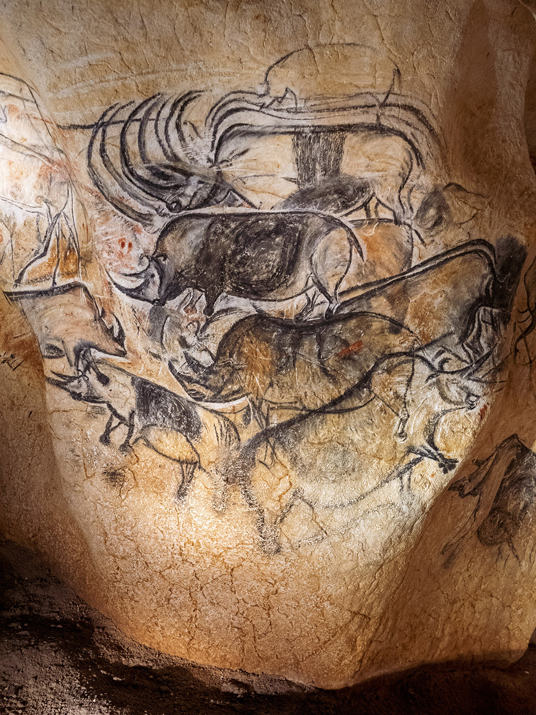The Chauvet cave, a treasure from the depths of the centuries 10