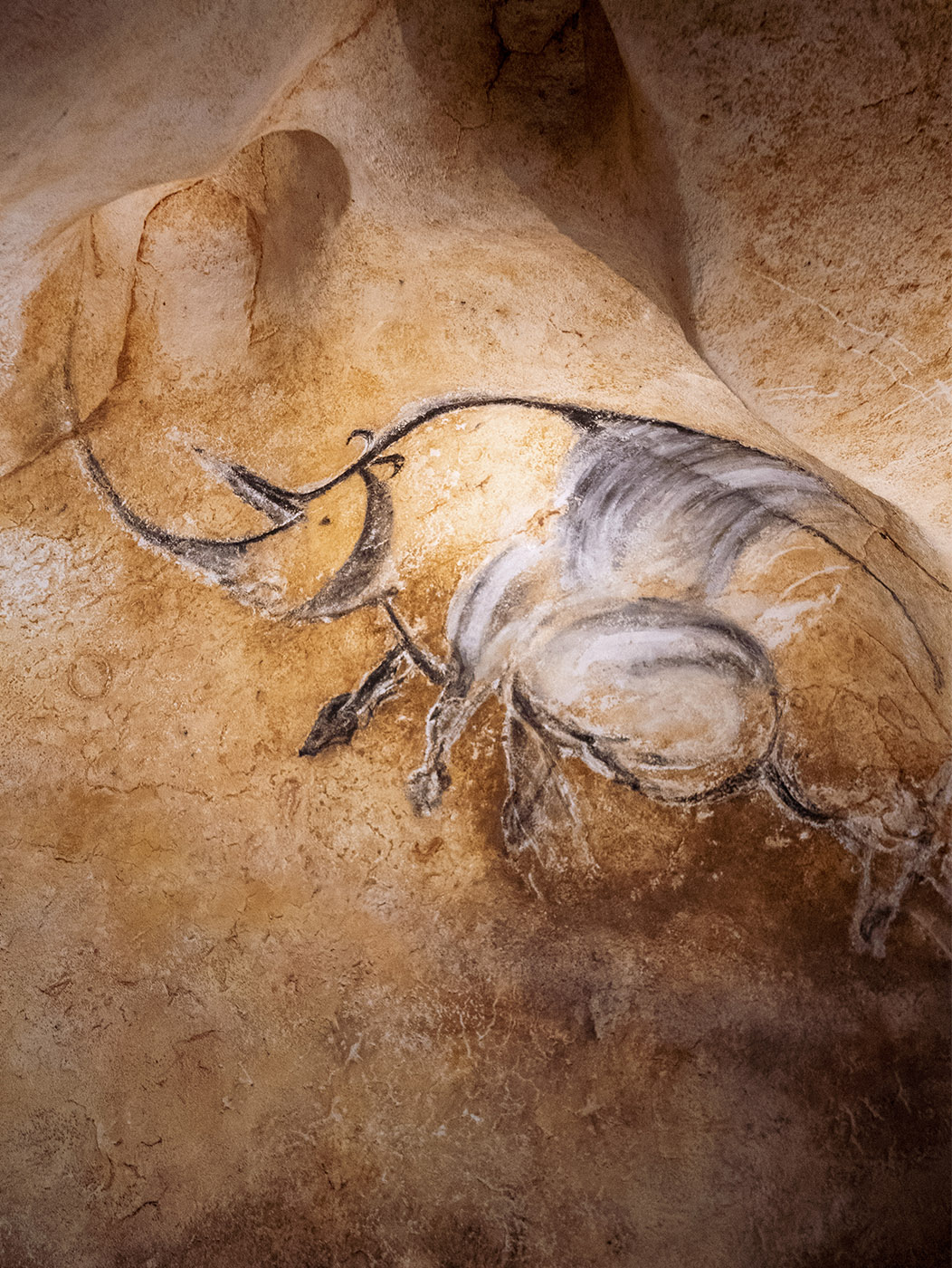 The Chauvet cave, a treasure from the depths of the centuries 11