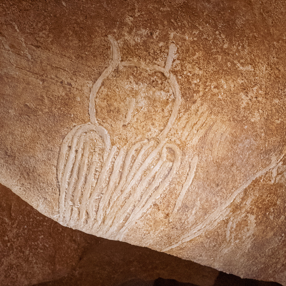 The Chauvet cave, a treasure from the depths of the centuries 6