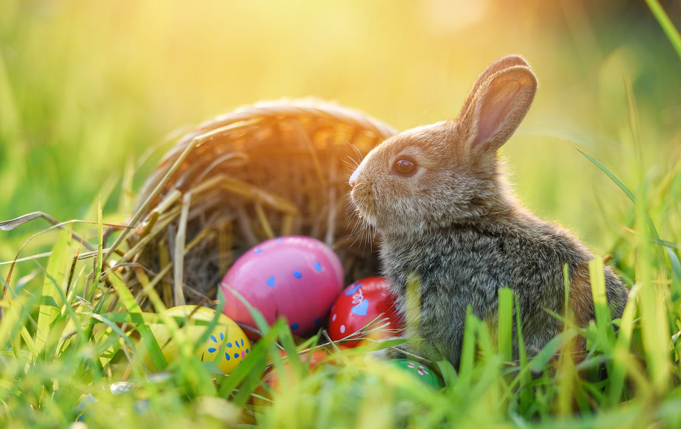 Pourquoi offre-t-on des oeufs en chocolat à Pâques ? 3