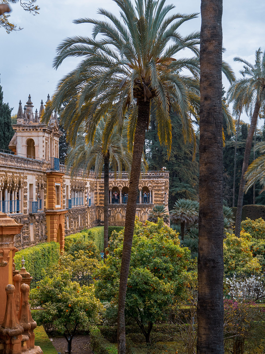 What to do in Seville? City guide, good addresses and tips 10