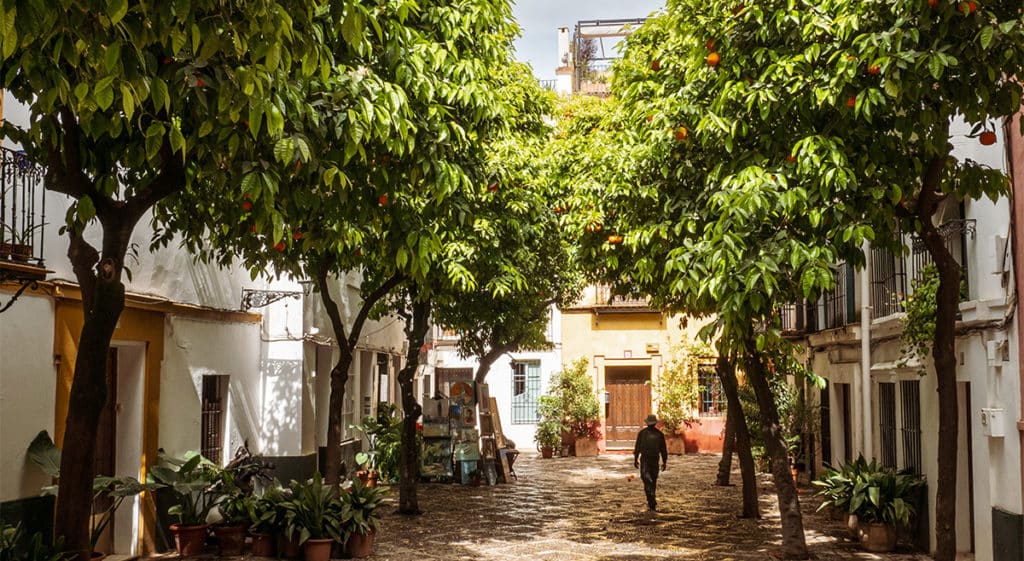 Where to eat in Seville? 8 good restaurants 1