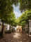 What to do in Seville? City guide, good addresses and tips 4