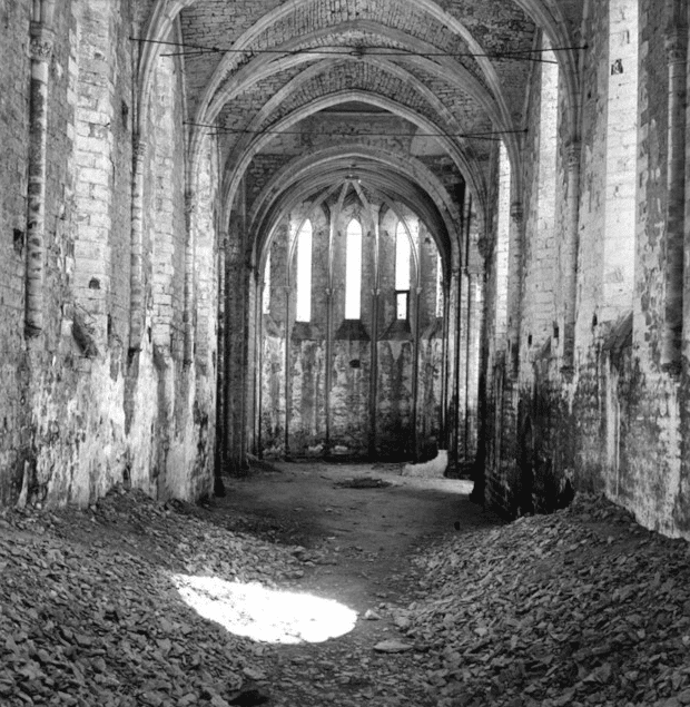 Ruines de l'abbaye de Beaulieu-en-Rouergue