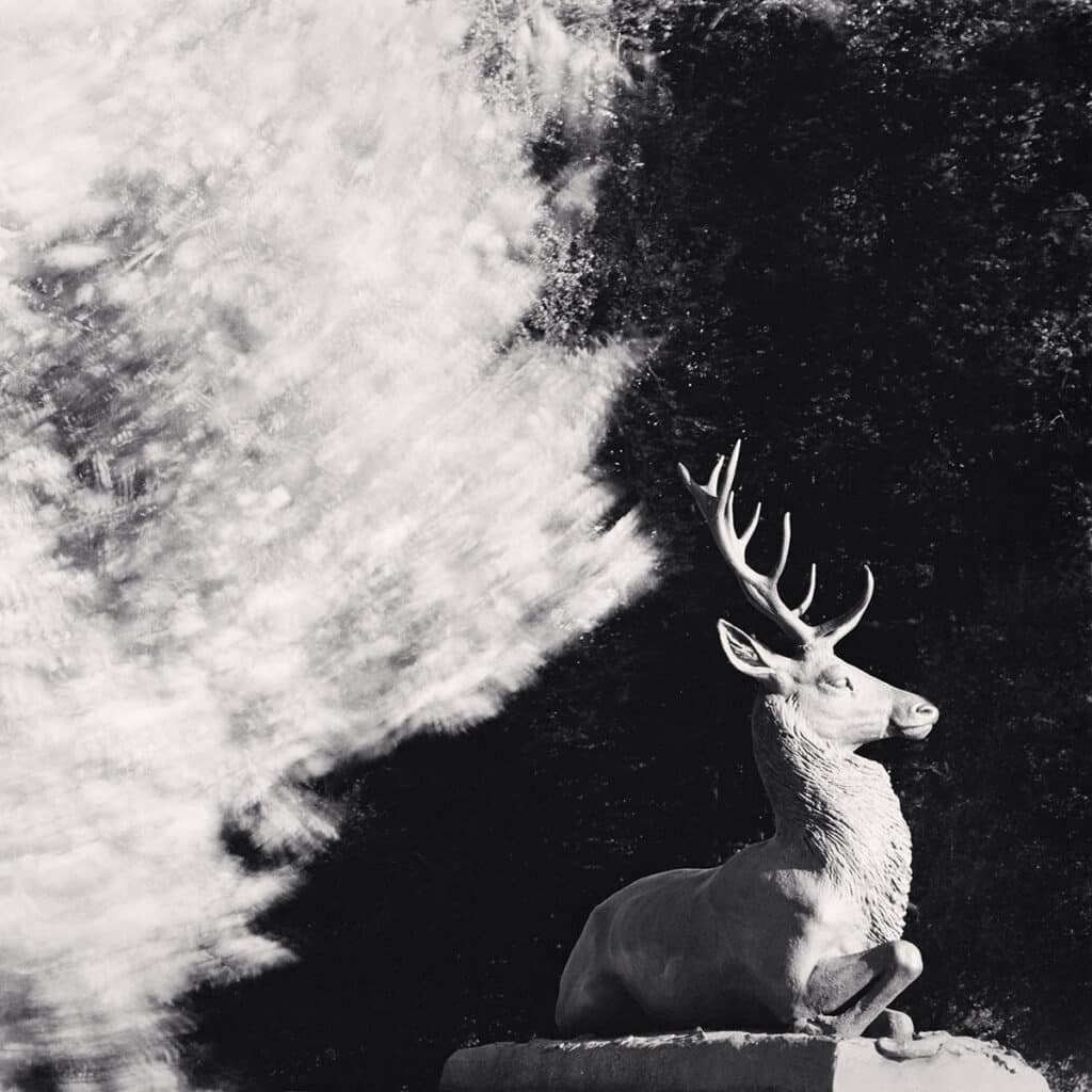 The castle of Rambouillet invites us to a journey in France with the photographer Michael Kenna 1