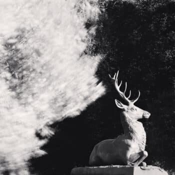 Le château de Rambouillet nous invite à un voyage en France avec le photographe Michael Kenna 1