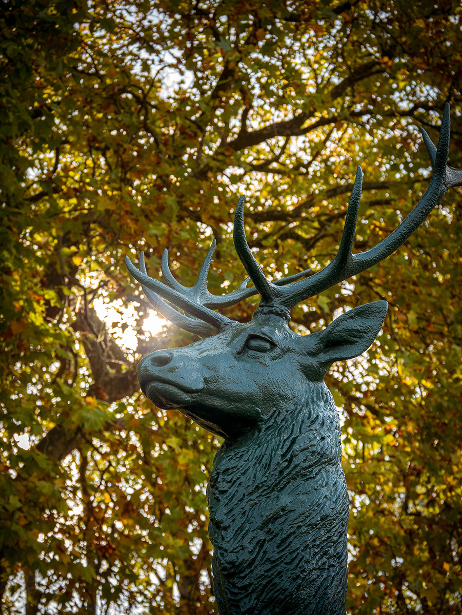 Le château de Rambouillet histoire d'une résidence royale, impériale