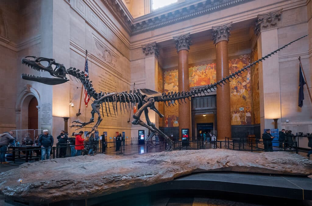 Dinosaure museum histoire naturelle de New York