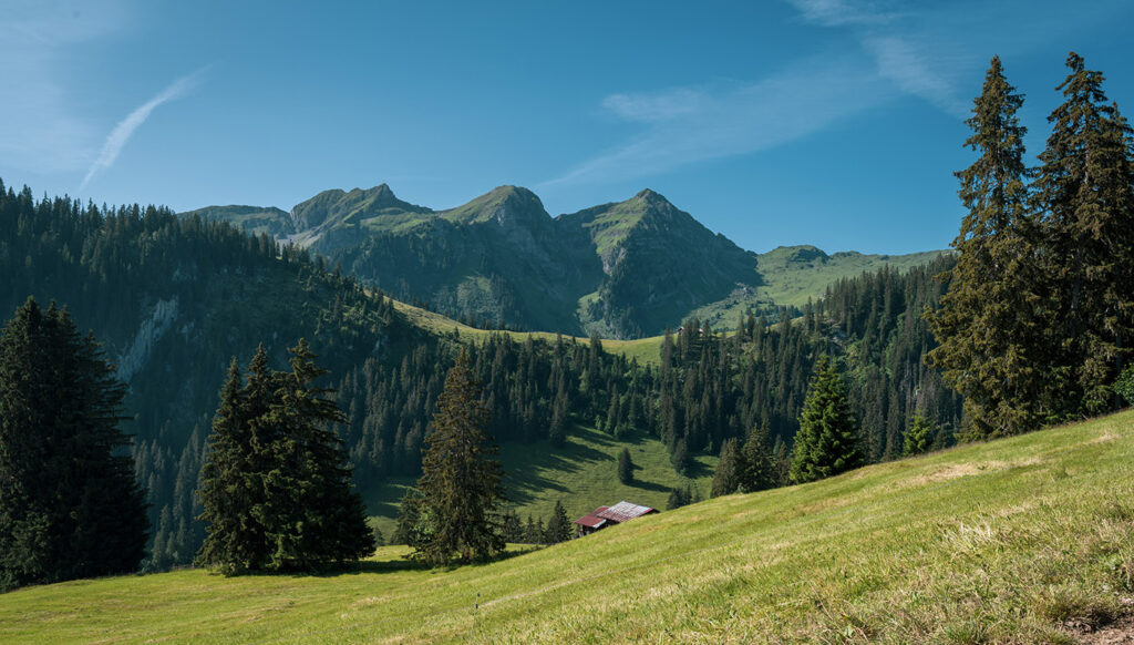 Visiter la Suisse en train : guide de voyage 18