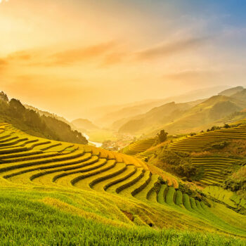 Quatre des plus beaux parcs nationaux du Vietnam 3