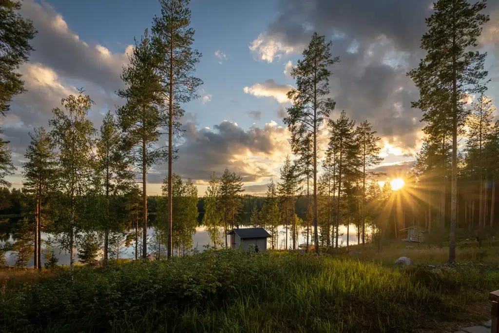 Visiter la région des lacs en Finlande : guide de voyage 5