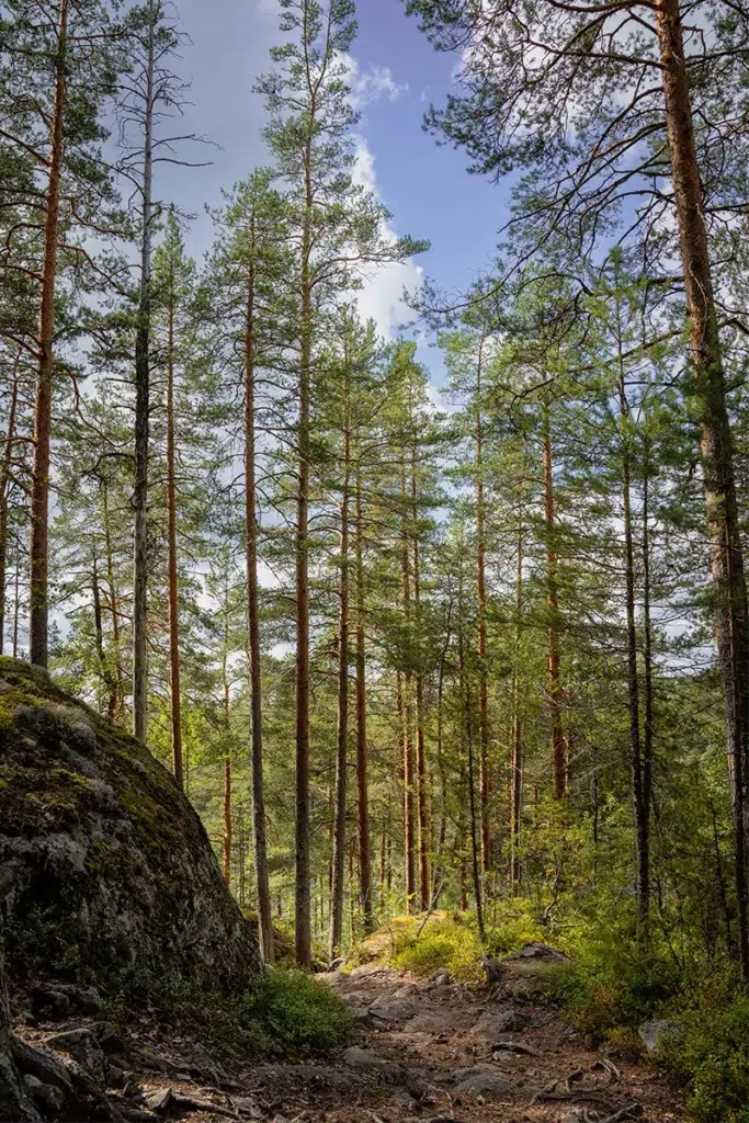 Visit Finland's Lakeland region: travel guide 20