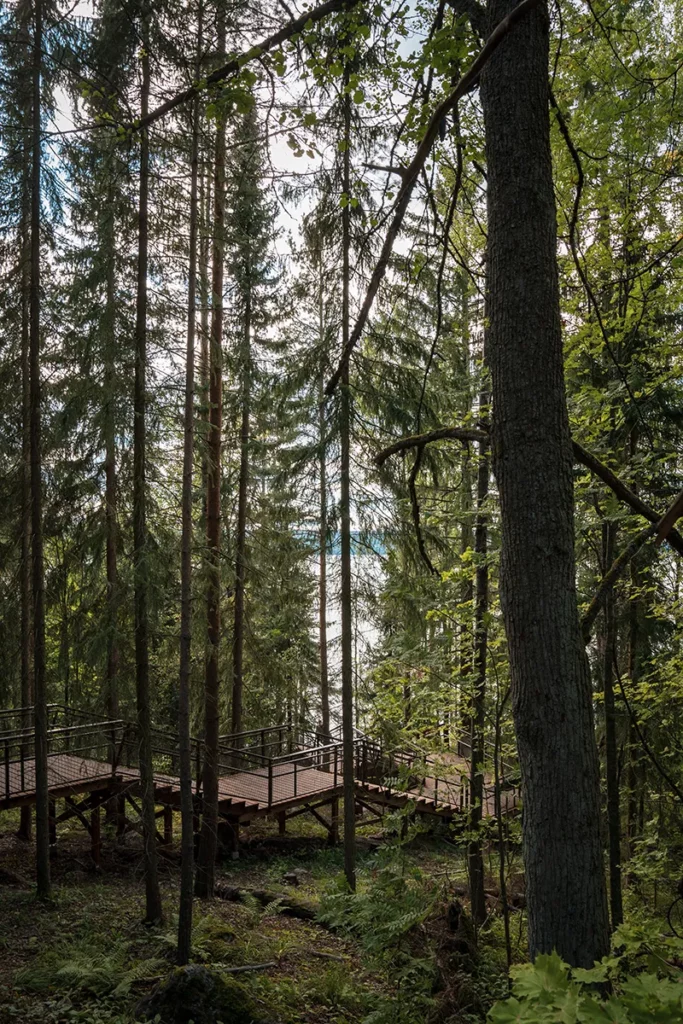 Visiter la région des lacs en Finlande : guide de voyage 28