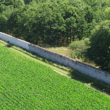 Chambord, un mur qu'on restaure 19