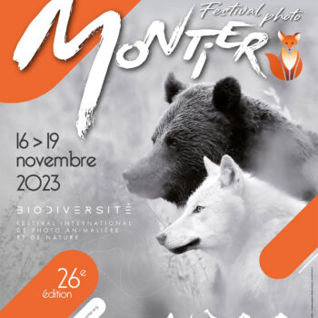 Montier, the must-see festival for photography lovers 7