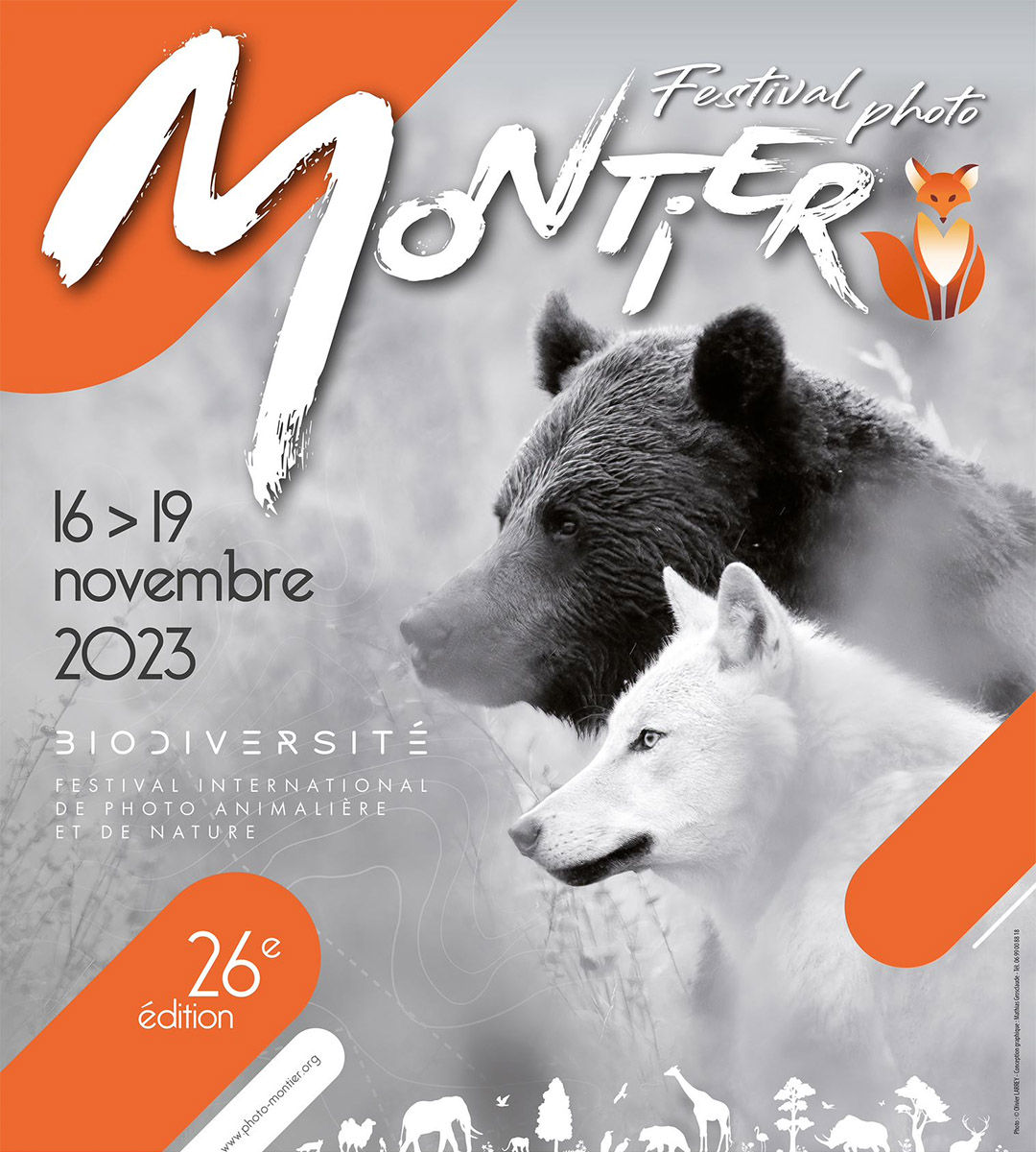 Montier, the must-see festival for photography lovers 2