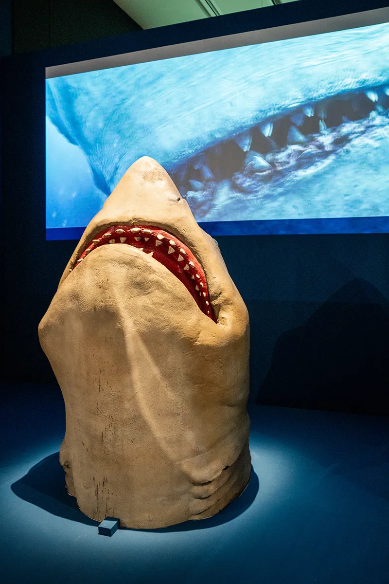 Avec l’exposition « Objectif Mer : l’océan filmé » le musée de la Marine célèbre le 7e art 10