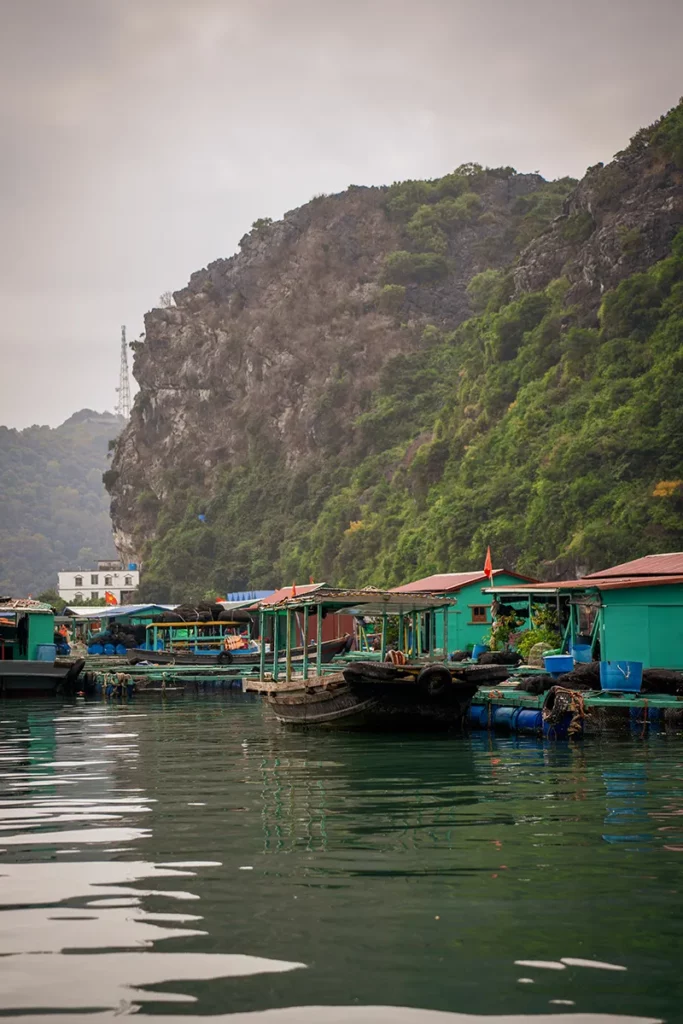 Visiter la Baie d’Halong : guide pratique 10