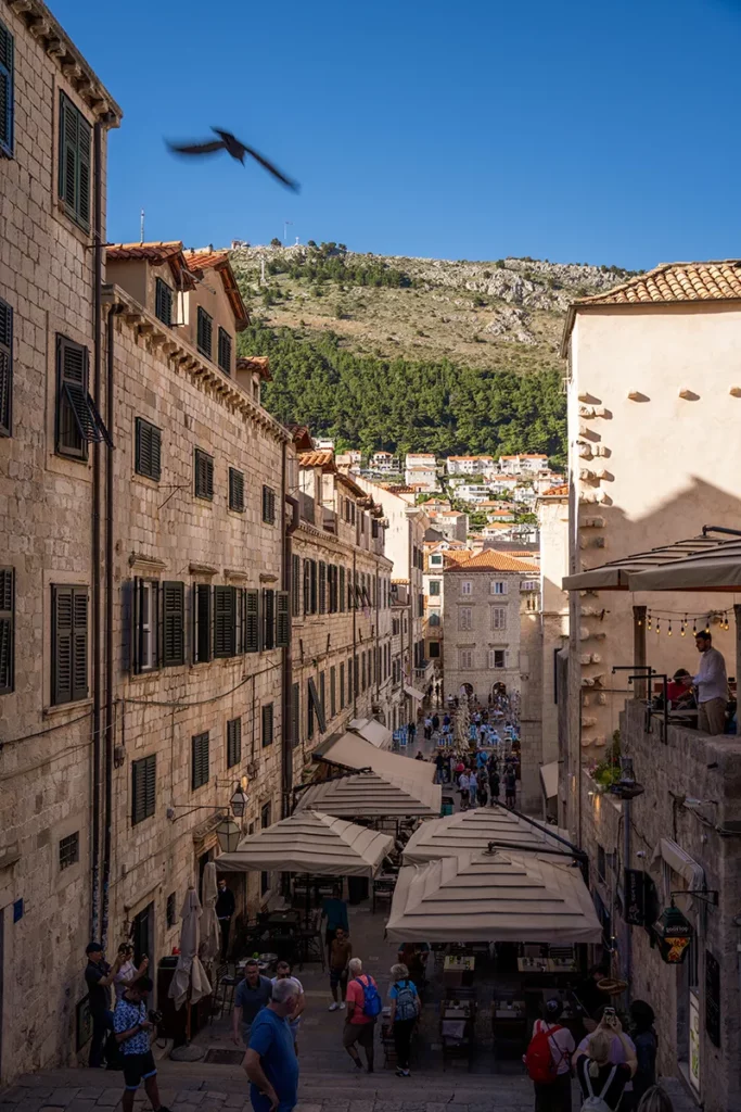 What to do in Dubrovnik? Must sees