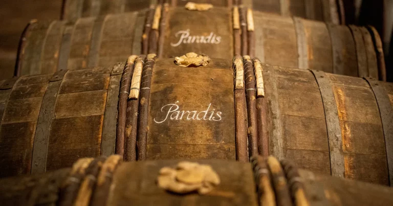 Les visites Hennessy, à Cognac