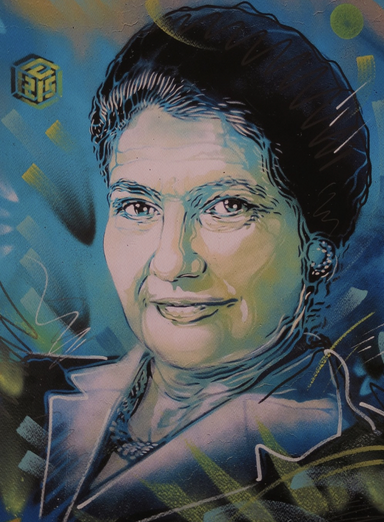 Rencontre avec C215, pochoiriste et portraitiste mondialement reconnu 5