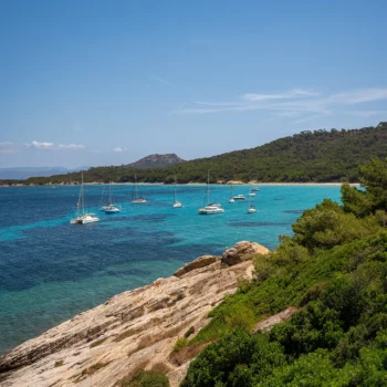 What to do in Porquerolles? Travel guide between culture and nature 1